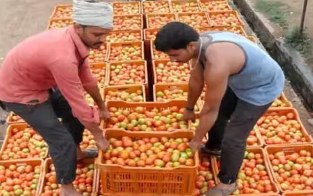 21 ಲಕ್ಷ ಮೌಲ್ಯದ ಟೊಮೆಟೊ ತುಂಬಿದ್ದ ಲಾರಿ ನಾಪತ್ತೆ